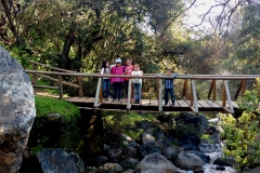 parque la campana olmue chile lodge glamping trekking panorama 06