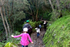 paseos de curso colegio olmue chile parque la campana (3)